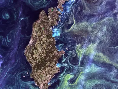 Satellite image