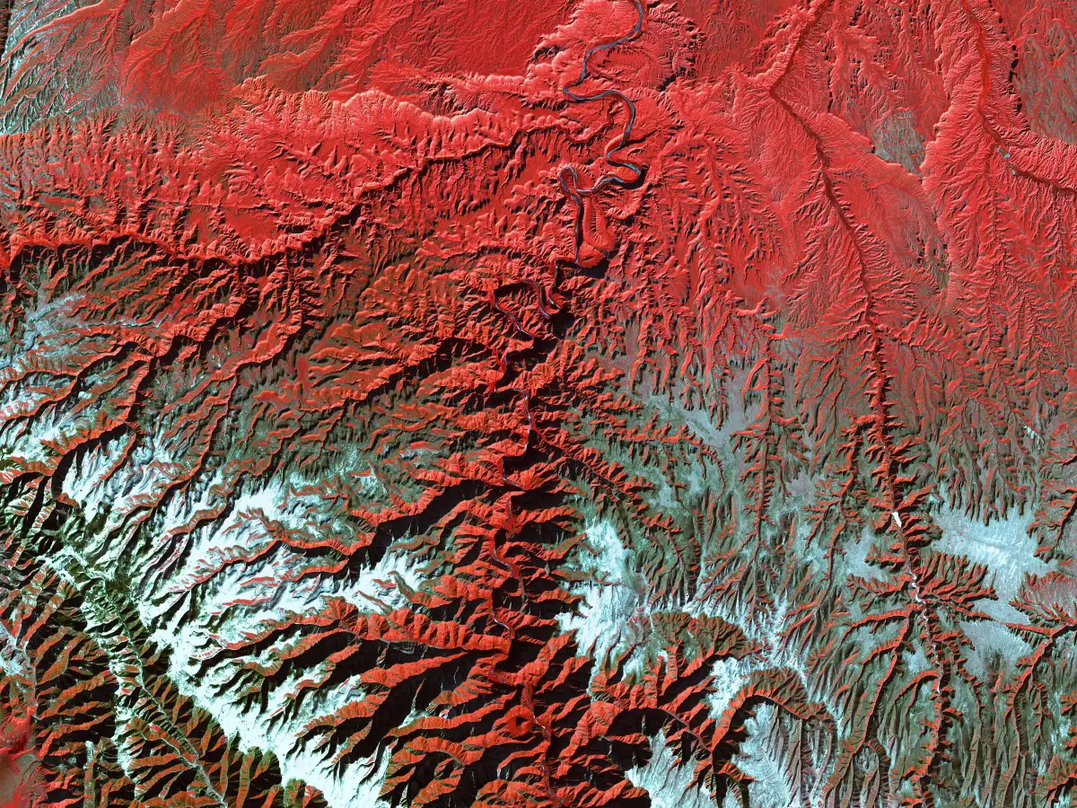 Satellite image