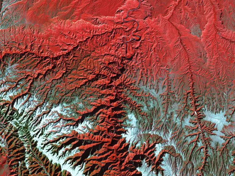 Satellite image