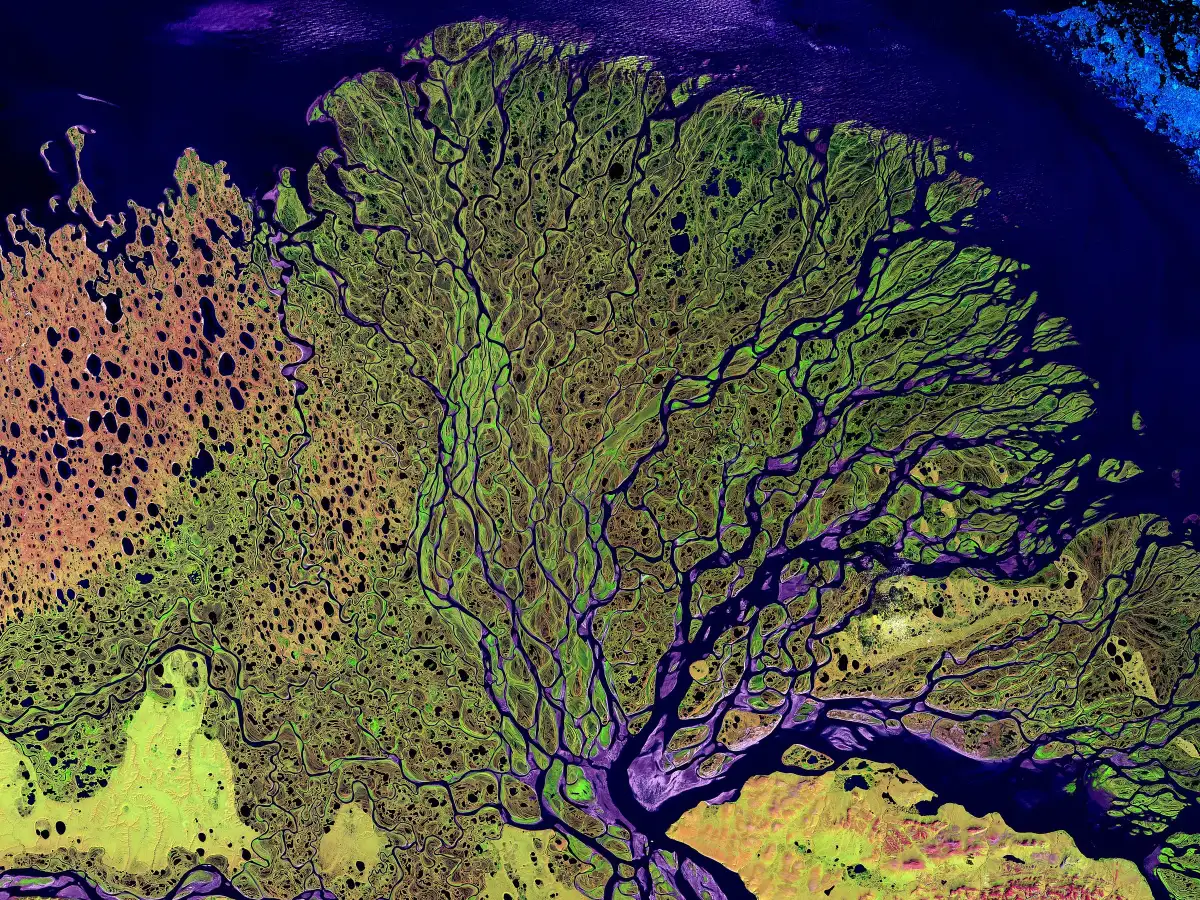 Satellite image