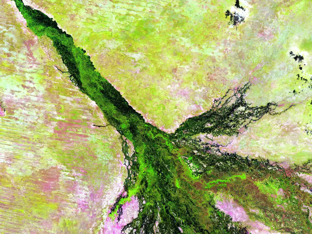 Satellite image