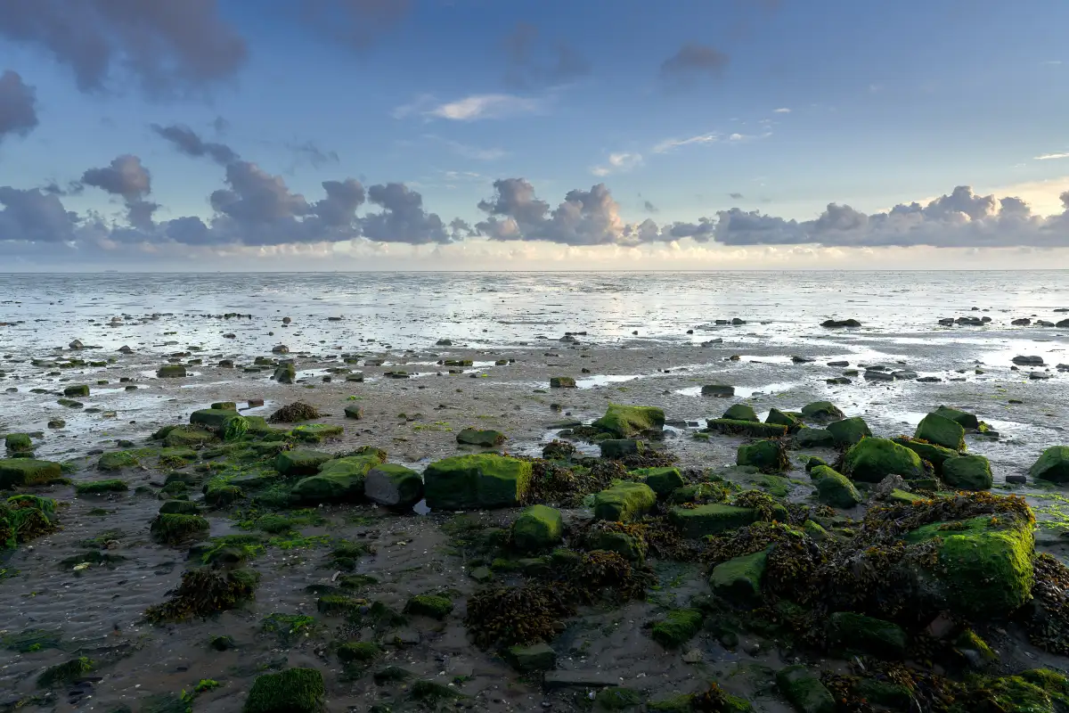 Zicht op de Waddenzee