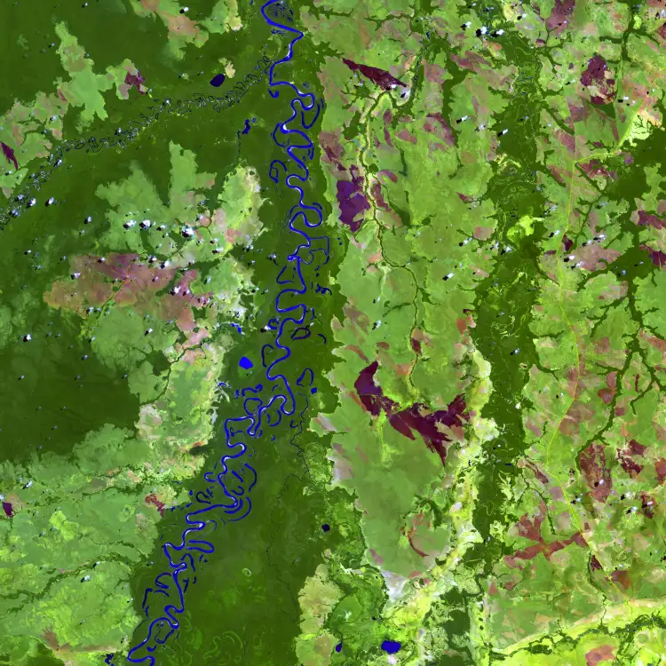 Satellite Image Rio Beni, Bolivia