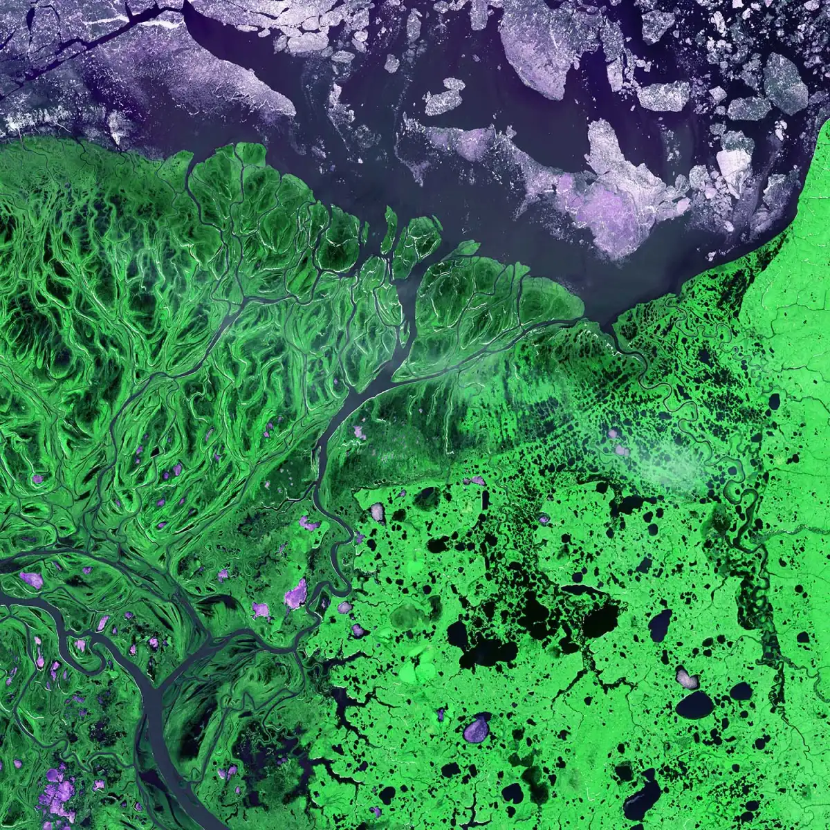 Satellite image