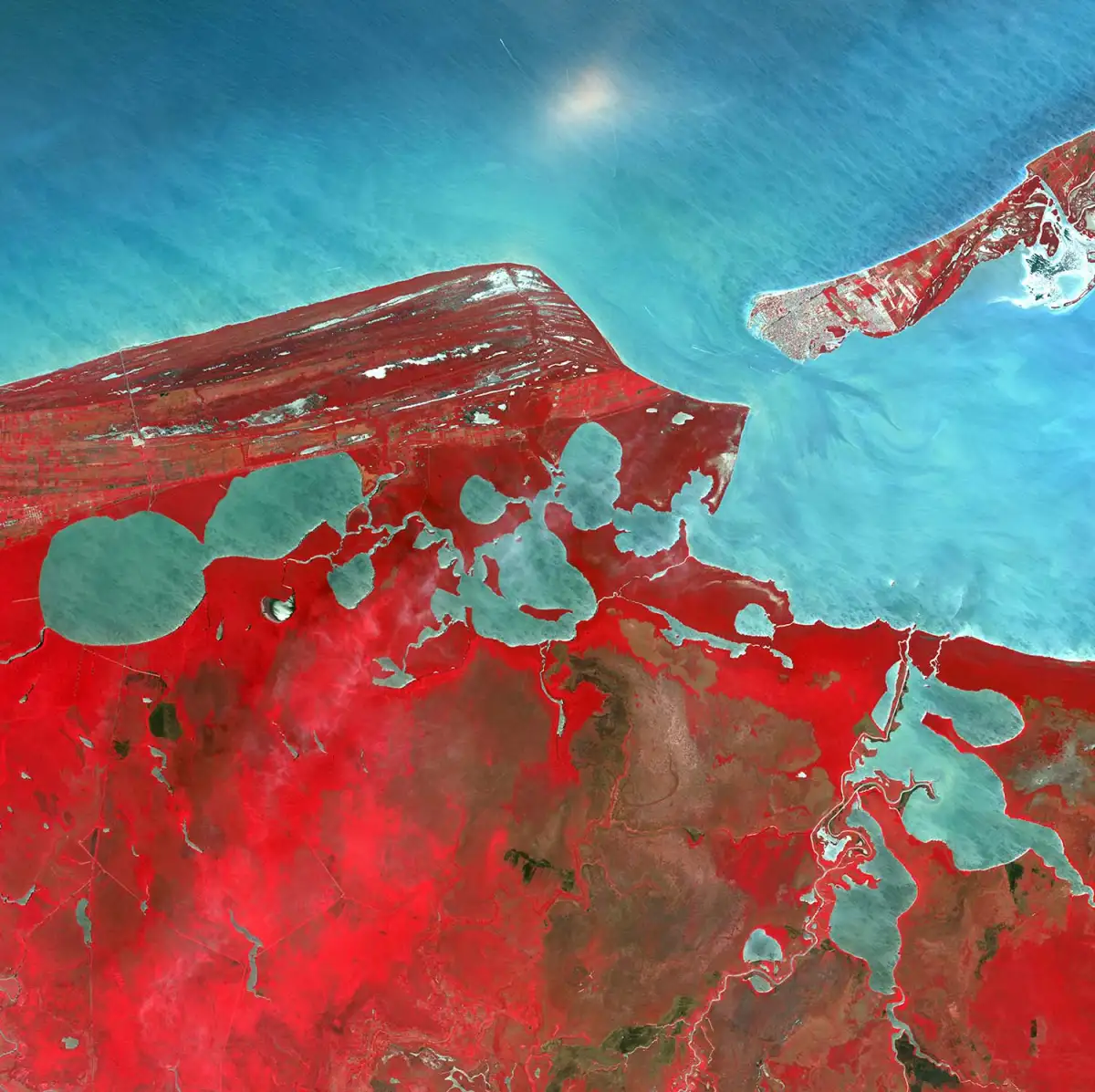 Satellite image